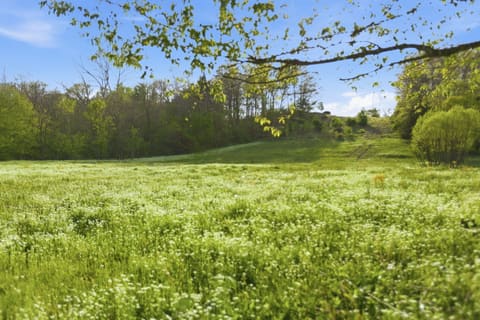 8586 Stulltown Road, Owingsville, KY 40360 — photo 3