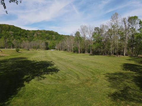2748 Damron Creek Road, Russell Springs, KY 42642 — photo 3