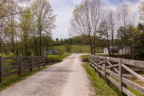 3445 Mill Creek Road, Owingsville, KY 40360 — photo 2