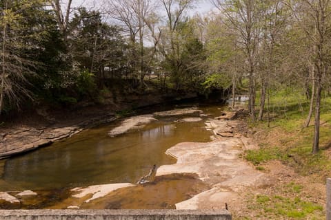 3445 Mill Creek Road, Owingsville, KY 40360 — photo 3