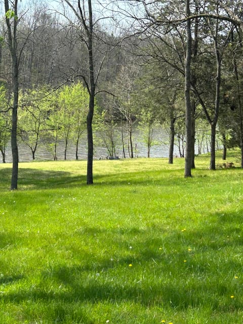38 Cricket Lane, Berry, KY 41003 — photo 4