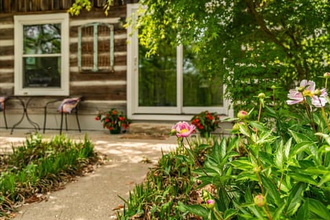 1516 Hobbs Road, Rogers, KY 41365 — photo 2