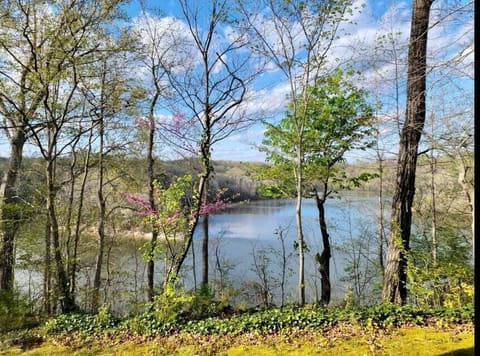 450 White Oak Drive, Nancy, KY 42544 — photo 2
