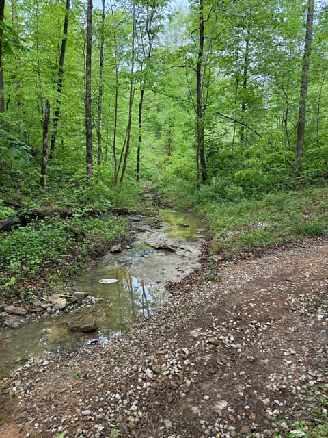 217 Ralph Troxell Road, Monticello, KY 42633 — photo 5