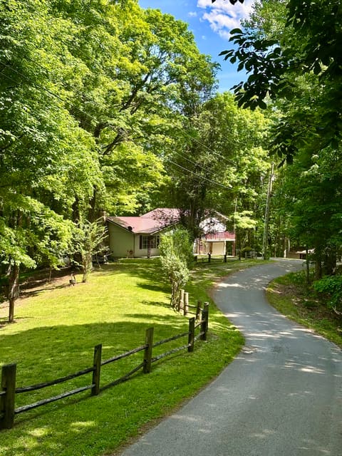 439 Eagles Bluff Road, Monticello, KY 42633 — photo 3