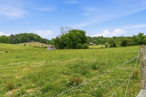 5029 S Highway 379, Jamestown, KY 42629 — photo 4