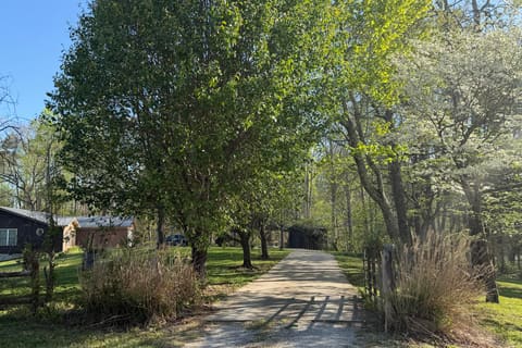 56 Tim Morgan Road, Whitley City, KY 42653 — photo 4