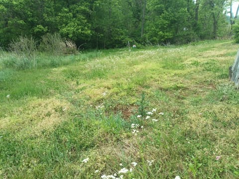 2933 KY Route-1092, Flat Gap, KY 41219 — photo 5