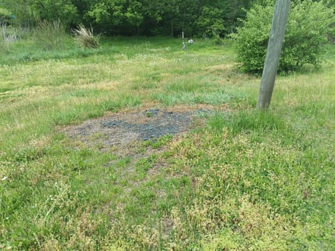 2933 KY Route-1092, Flat Gap, KY 41219 — photo 4