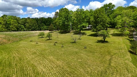 105 Stewart Fork Road, Irvine, KY 40336 — photo 3