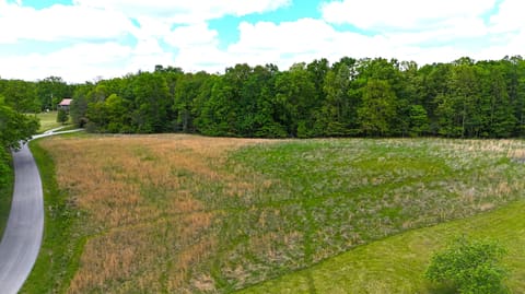 105 Stewart Fork Road, Irvine, KY 40336 — photo 4