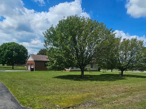225 Potter Lane, Morehead, KY 40351 — photo 3
