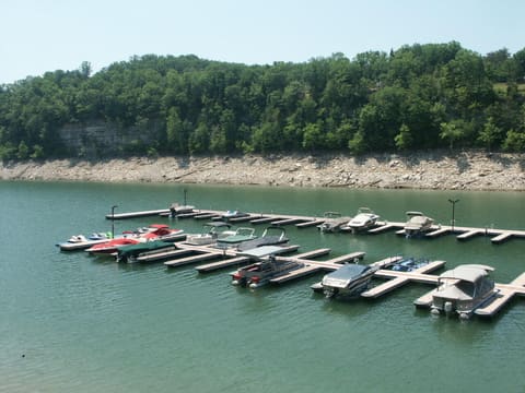 441 Deer Lake Place, Bronston, KY 42518 — photo 4