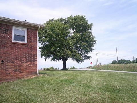 2405 KY Hwy 78, Stanford, KY 40484 — photo 5