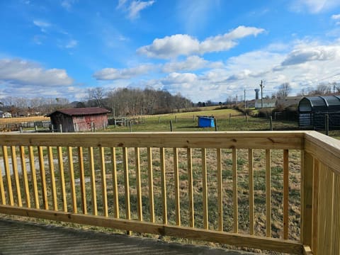 420 Bluebank Road, Morehead, KY 40351 — photo 5