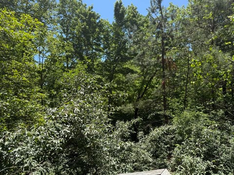 35 Clarks Bottom Road, London, KY 40744 — photo 5