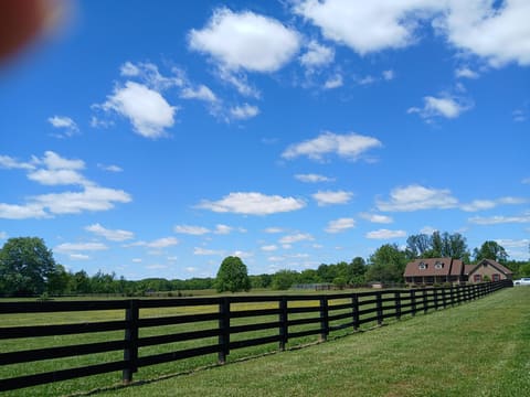 90 Denson Road, Liberty, KY 42539 — photo 4