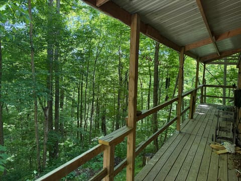 299 Igo Road, Morehead, KY 40351 — photo 4