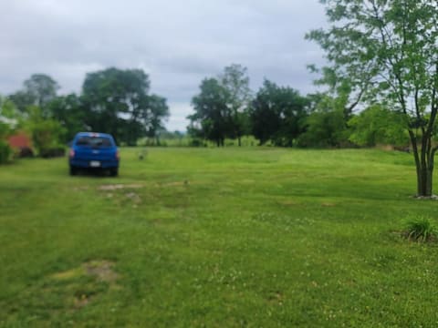 161 Gum Bottom Road, Waco, KY 40385 — photo 5