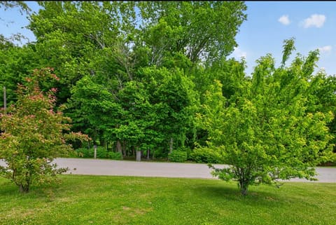 245 Greasy Ridge Road, Stanford, KY 40484 — photo 5