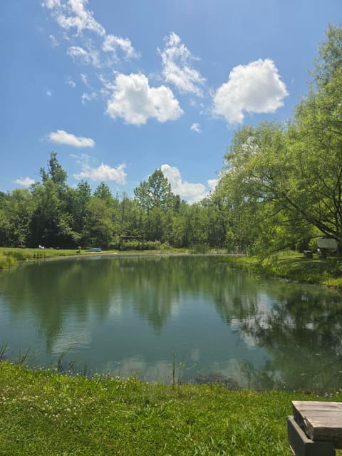 5425 S Ky 233, Gray, KY 40734 — photo 2