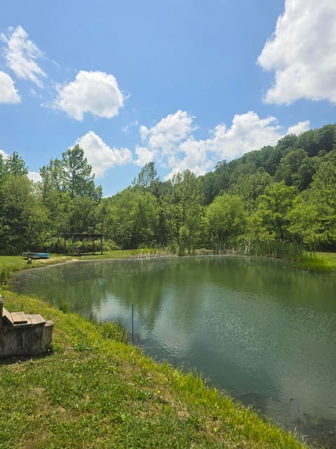 5425 S Ky 233, Gray, KY 40734 — photo 3