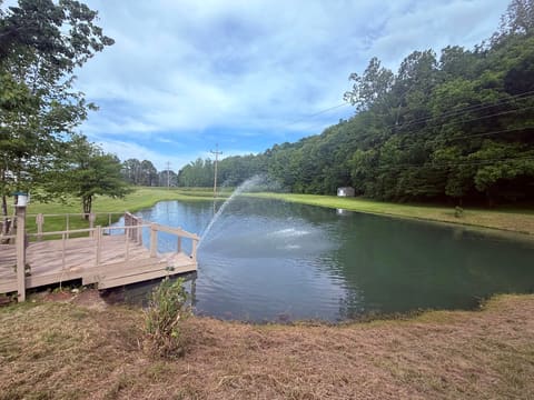 7055 W U.S. 60, Morehead, KY 40351 — photo 4