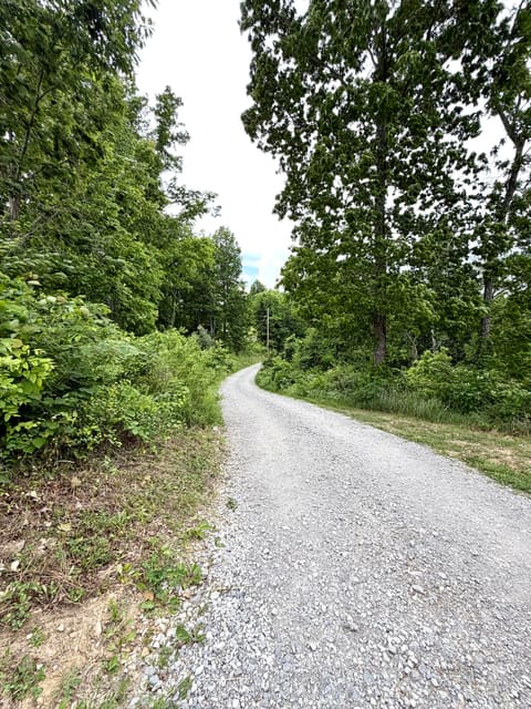 1050 Burgin Road, Lawrenceburg, KY 40342 — photo 4