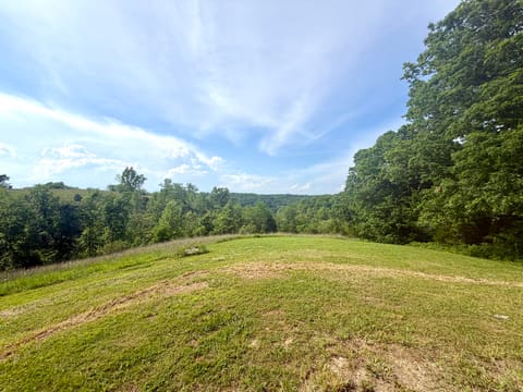 1050 Burgin Road, Lawrenceburg, KY 40342 — photo 5