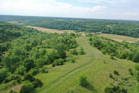 1050 Burgin Road, Lawrenceburg, KY 40342 — photo 2