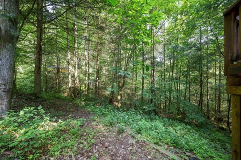 3556 Right Fork Fixer Road, Zoe, KY 41397 — photo 5