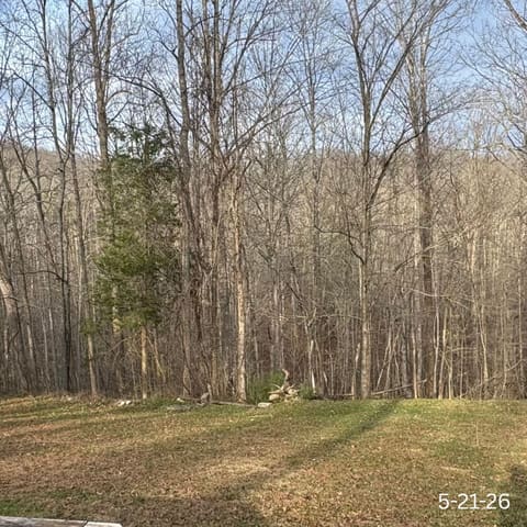 234 Brandenburg Road, Frenchburg, KY 40322 — photo 2