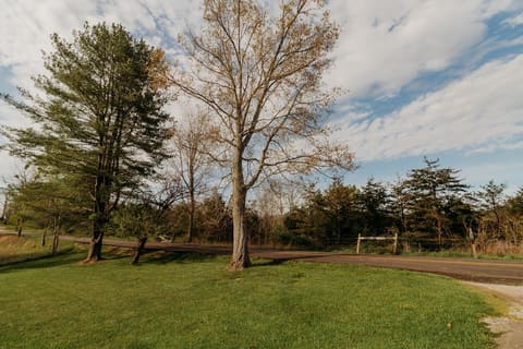 6177 746 Highway, Wellington, KY 40387 — photo 2