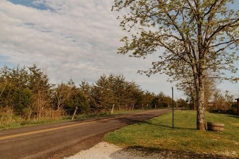 6177 746 Highway, Wellington, KY 40387 — photo 3