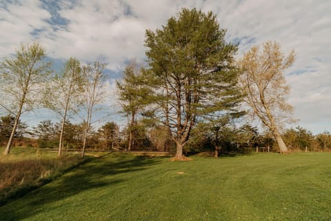 6177 746 Highway, Wellington, KY 40387 — photo 5
