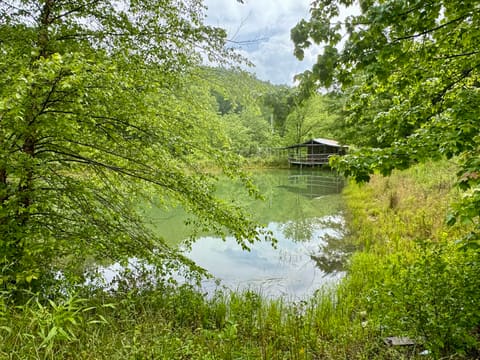 88 Mae Gumm Road, Tyner, KY 40486 — photo 3