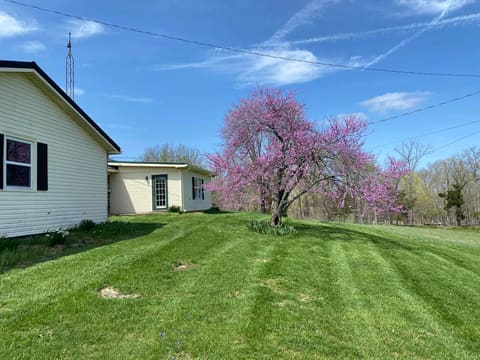 317 Short Road, Salvisa, KY 40372 — photo 2