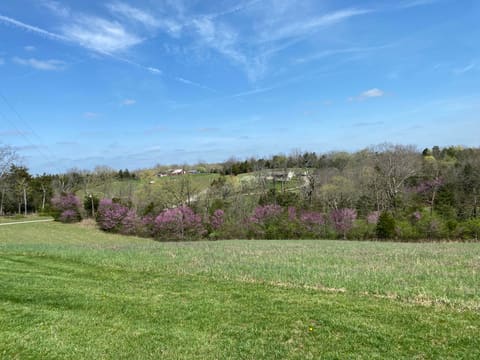 317 Short Road, Salvisa, KY 40372 — photo 3