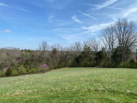 317 Short Road, Salvisa, KY 40372 — photo 4