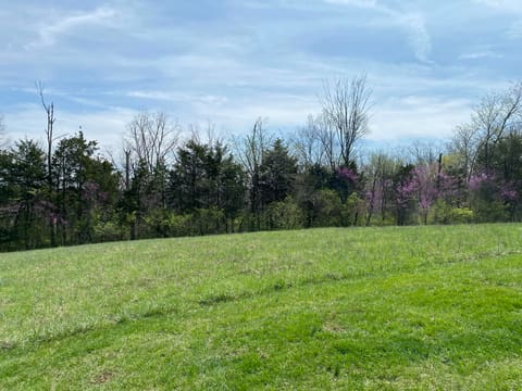 317 Short Road, Salvisa, KY 40372 — photo 5