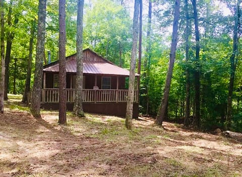 155 COUNTY Road, Burnside, KY 42519 — photo 2