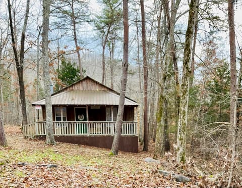 155 COUNTY Road, Burnside, KY 42519 — photo 4