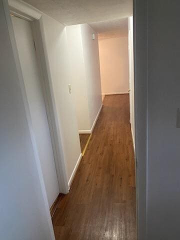 1281 Village Drive C-9, Lexington, KY 40504 — photo 3