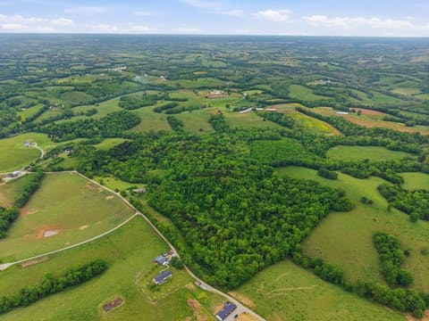 1225 Rooster Run Road, Owingsville, KY 40360 — photo 3