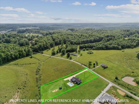 668 Slate Lick Road, London, KY 40741 — photo 4