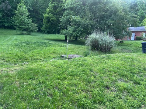 443 N Wilson Avenue, Morehead, KY 40351 — photo 3