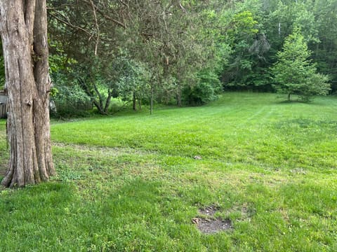 443 N Wilson Avenue, Morehead, KY 40351 — photo 4