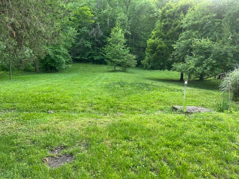 443 N Wilson Avenue, Morehead, KY 40351 — photo 5