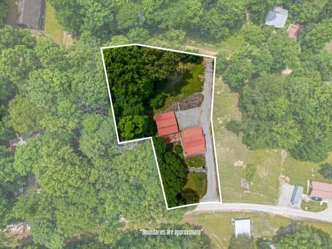 79 First Jasper Road, Burnside, KY 42519 — photo 4