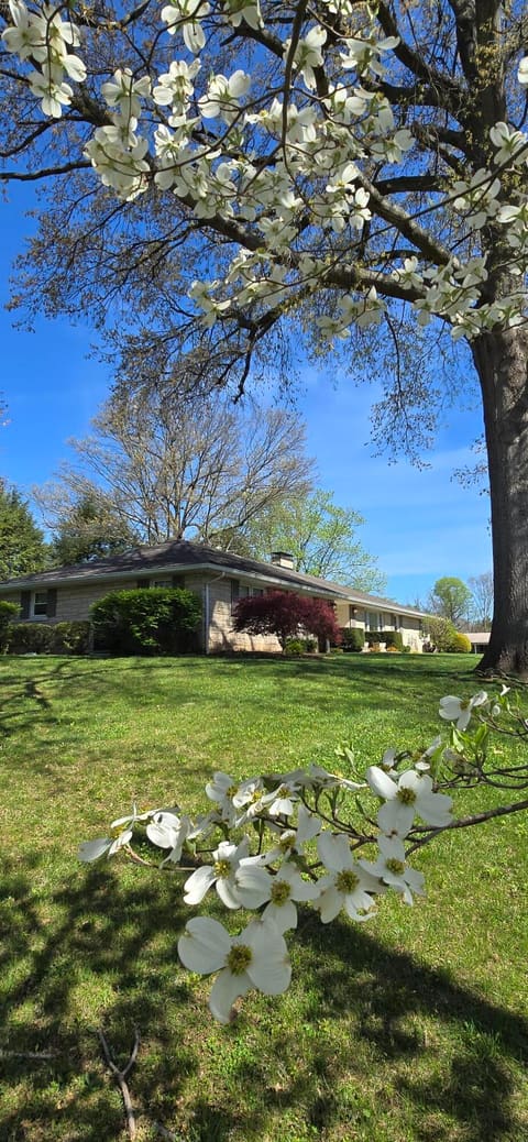 3101 Trinity Road, Lexington, KY 40503 — photo 3